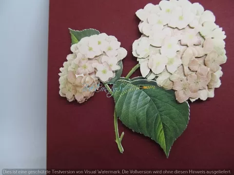 Filigrane Grusskarte mit Blumen-3-D-Motiv dunkelrot